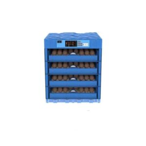 256 Eggs Incubator