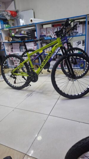 Ecarpat Mountain Bike size 26