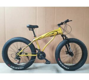 Fat Tyre Mountain Bike 21 Speed