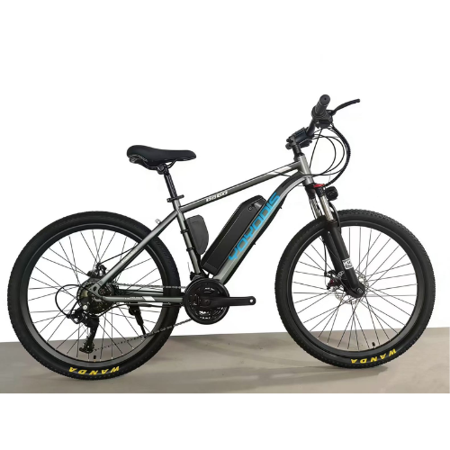 Electric Bicycle