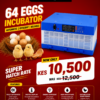 64 eggs incubator