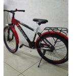 Tanda 24 bike