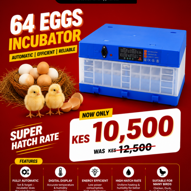 ChatGPT-Image-May-11-2026-09_12_08-AM.png