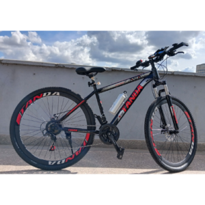 Tanda Size 29 Bike