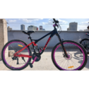 KSTON Bike Size 26