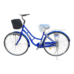 Tanda Size 24 Bike