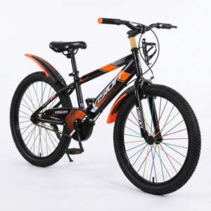 Vision Size 20 Bike